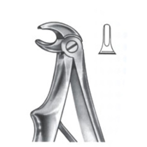 Extracting Forceps – English Pattern