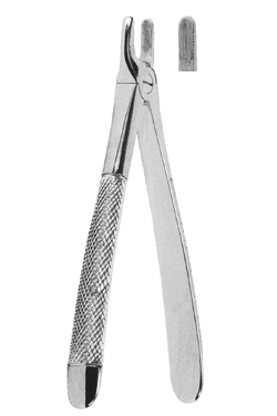 Extracting Forceps – English Pattern