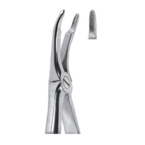 Extracting Forceps – English Pattern