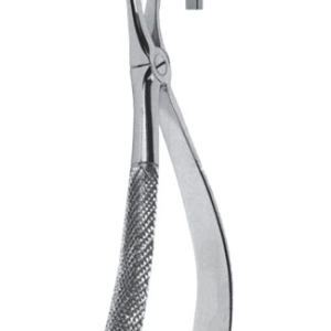 Extracting Forceps – English Pattern