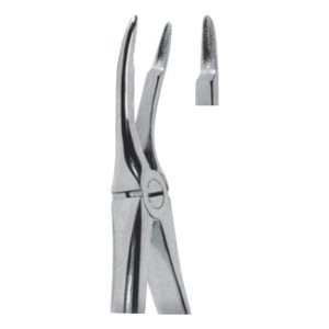 Extracting Forceps – English Pattern