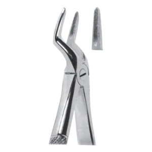 Extracting Forceps – English Pattern