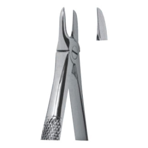 Extracting Forceps – English Pattern