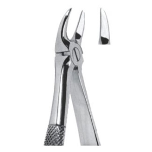 Extracting Forceps – English Pattern