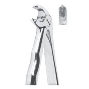 Extracting Forceps – English Pattern