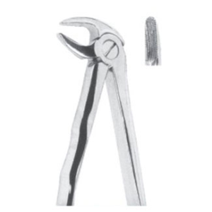 Extracting Forceps – English Pattern