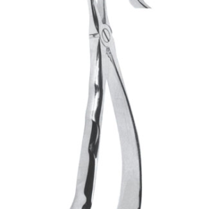 Extracting Forceps – English Pattern