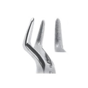 Extracting Forceps – English Pattern